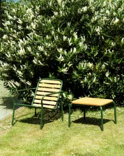 Křeslo Vig Robinia, dark green