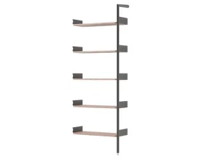 Policová sestava Rombe IF4, anthracite/lacquered walnut