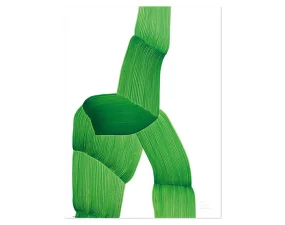 Plakát Ronan Bouroullec Drawings Poster, green