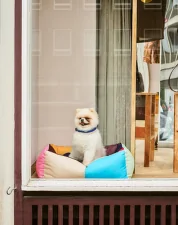Psí pelíšek Dogs Bed Zip S, multi