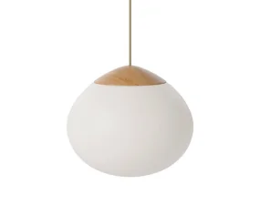 Závěsná lampa Acorn Ø32, matt opal glass