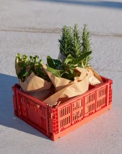 Úložný box Colour Crate Medium, red