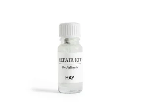 Opravný lak Palissade Repair Kit, cream white