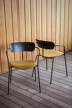 Židle Pavilion AV4, black lacquered oak / cognac