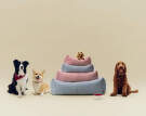 Psí pelíšek Dogs Bed