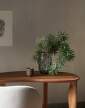 stul Feve Desk, walnut
