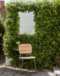zidle Lilium Chair