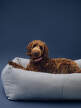 Psí pelíšek Dogs Bed L, blue and white stripe