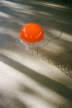 Stolní lampa Wire 30, chrome/orange