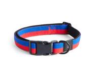 Obojek pro psa Dogs Collar Flat M/L, red/blue