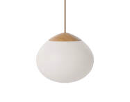 Závěsná lampa Acorn Ø21, matt opal glass