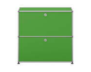 Komoda USM Haller S2, green