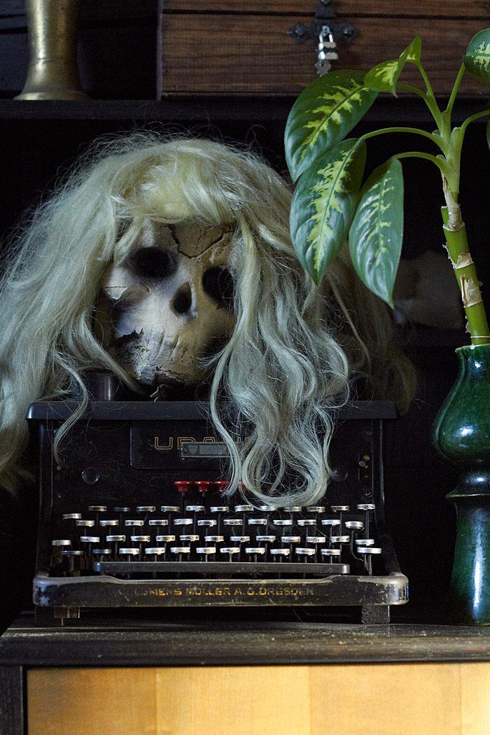 Pracovna - výtvarný ateliér - lebka / Skull